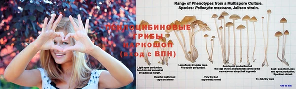 mix Абаза