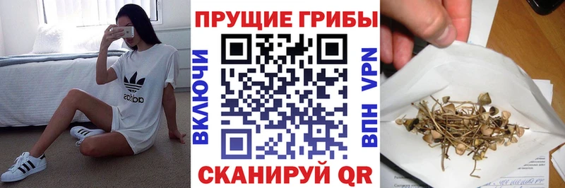 Галлюциногенные грибы ЛСД  МЕГА вход  Кандалакша 